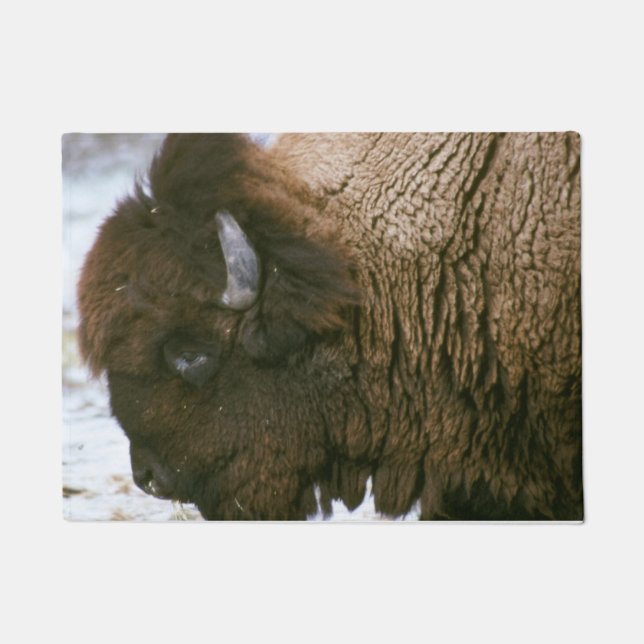 Paillasson Bison américain (Devant)