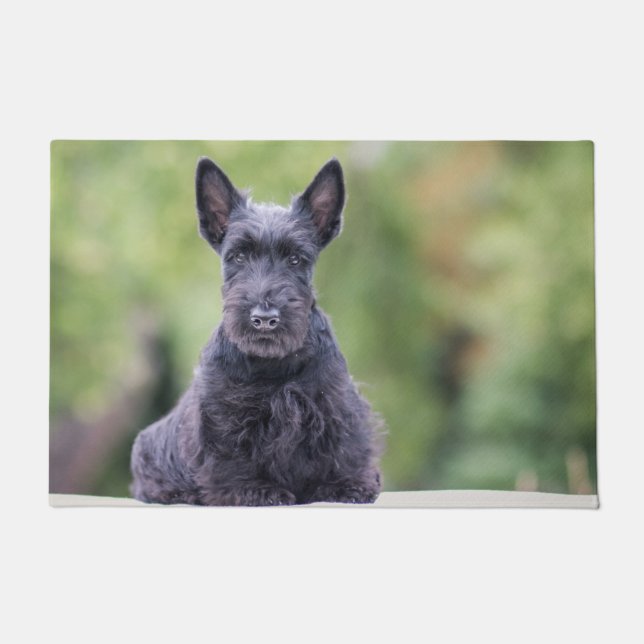 Paillasson Black Scottish Terrier (Devant)