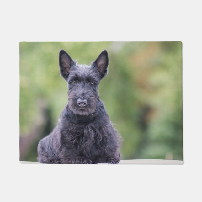 Paillasson Black Scottish Terrier (Devant)