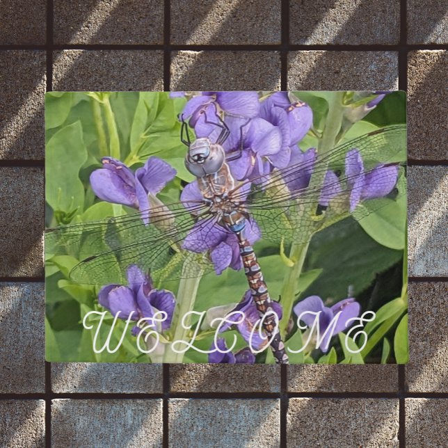 Paillasson Bleu-Eyed Darner Dragonfly sur Flowers Bienvenue (In Situ)