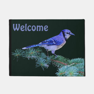 Paillasson Blue Jay