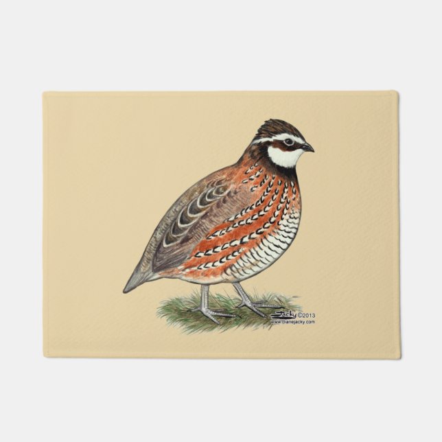 Paillasson Bobwhite Quail Rooster (Devant)