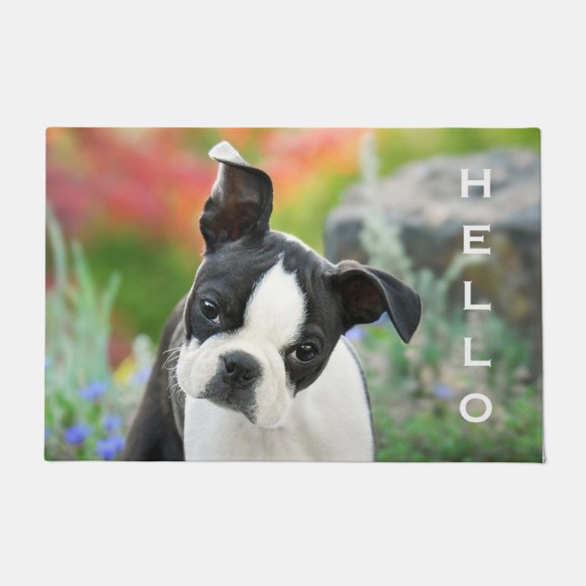 Paillasson Boston Terrier Dog Cute Puppy Animal Head - Bonjou (Devant)