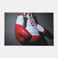 Boxing gloves