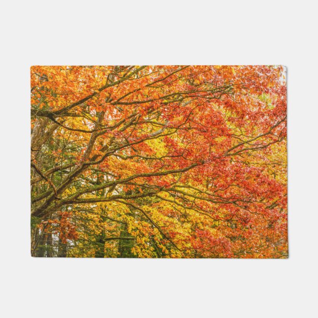 Paillasson Branches de Letchworth Tree Orange Nature (Devant)