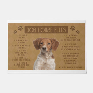 Paillasson Britany Spaniel Dog House Règles, S'Il Est Rompu,