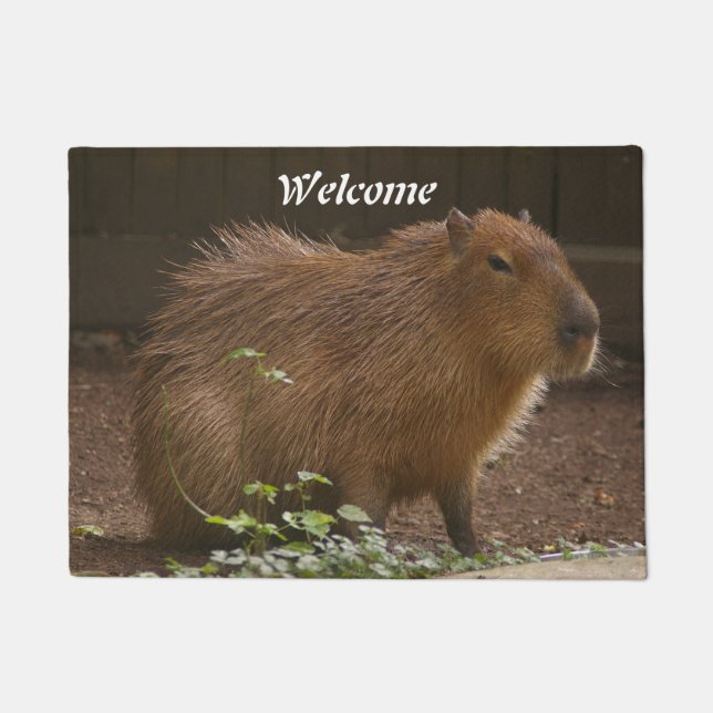 Paillasson Capybara (Devant)