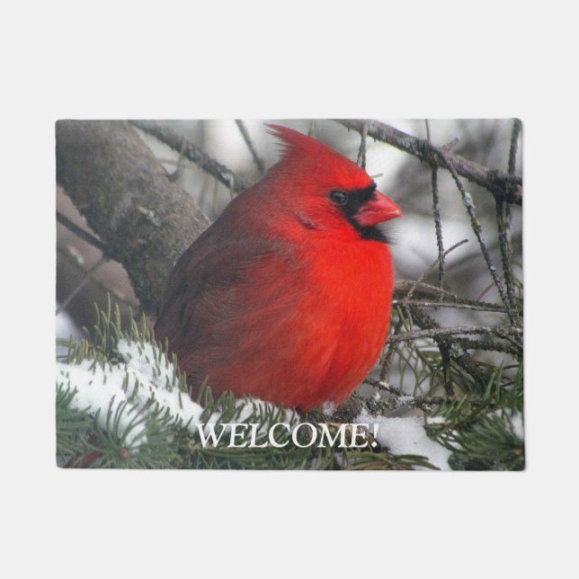 Paillasson cardinal (Devant)