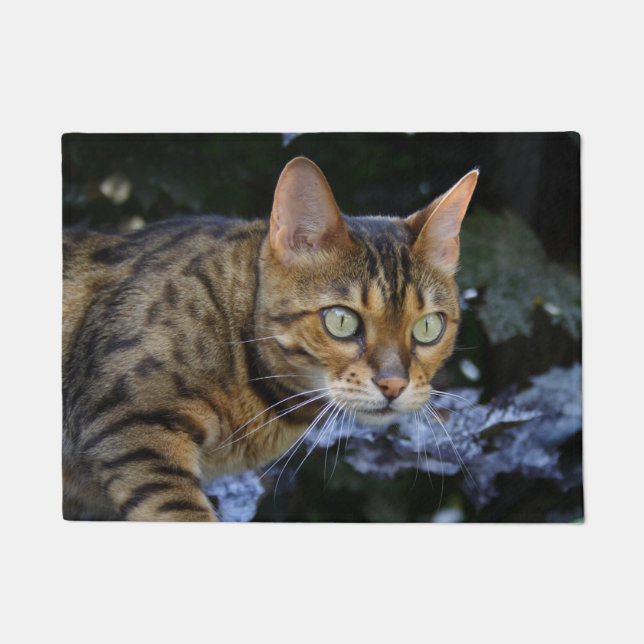 Paillasson Cat du Bengale (Devant)