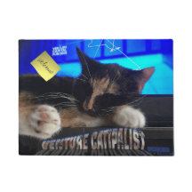 Chat couché