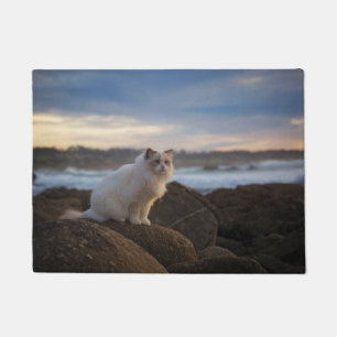 Paillasson Chat de Ragdoll à la plage