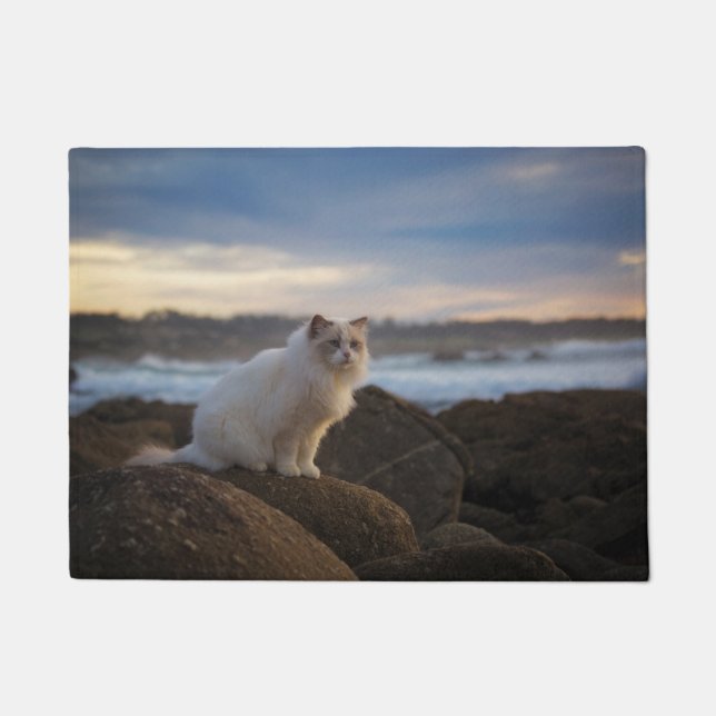 Paillasson Chat de Ragdoll à la plage (Devant)
