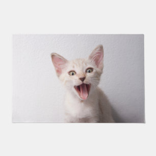 Paillasson Chat Drôle