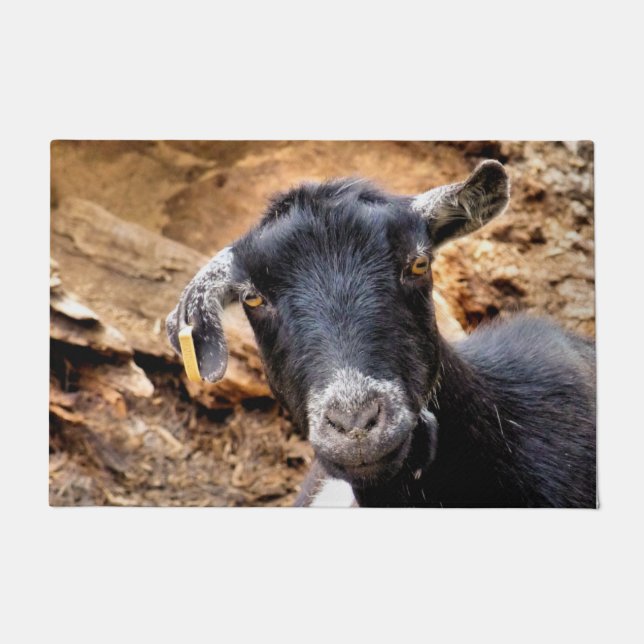 PAILLASSON CHÈQUE (Devant)