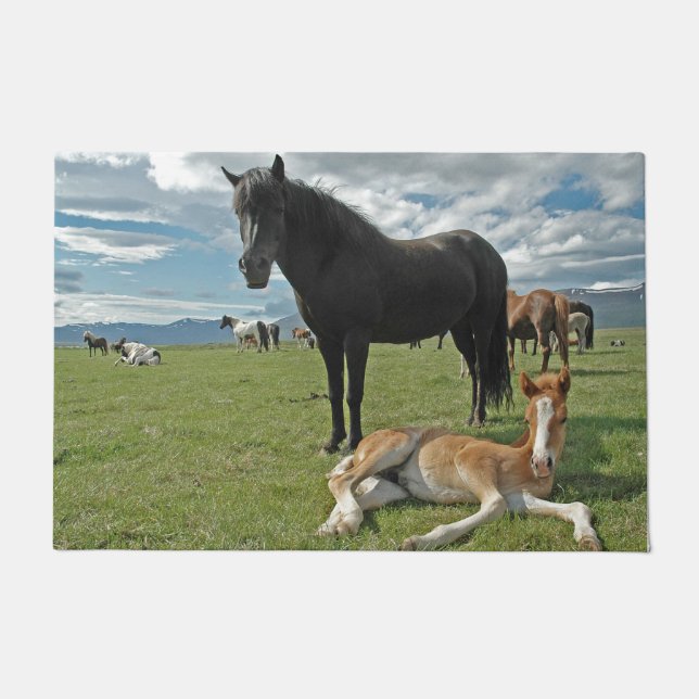 Paillasson Cheval (Devant)