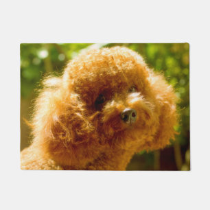Paillasson Chien Caniche.