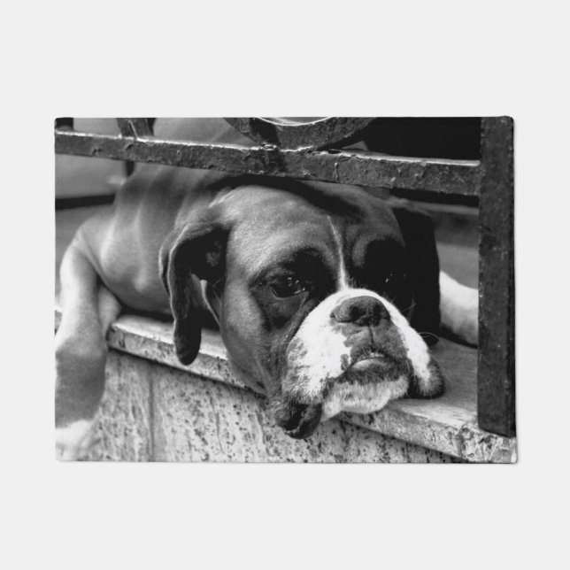 Paillasson Chien de boîte sur dmm de rebord de fenêtre (Devant)