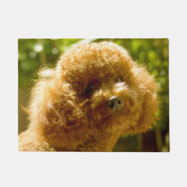 Paillasson Chien de caniche. (Devant)