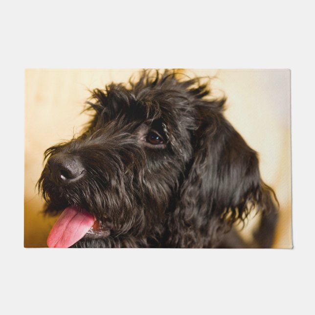 Paillasson Chien de Labradoodle. (Devant)
