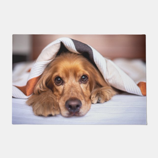 Paillasson Chien espagnol de Cocker (Devant)