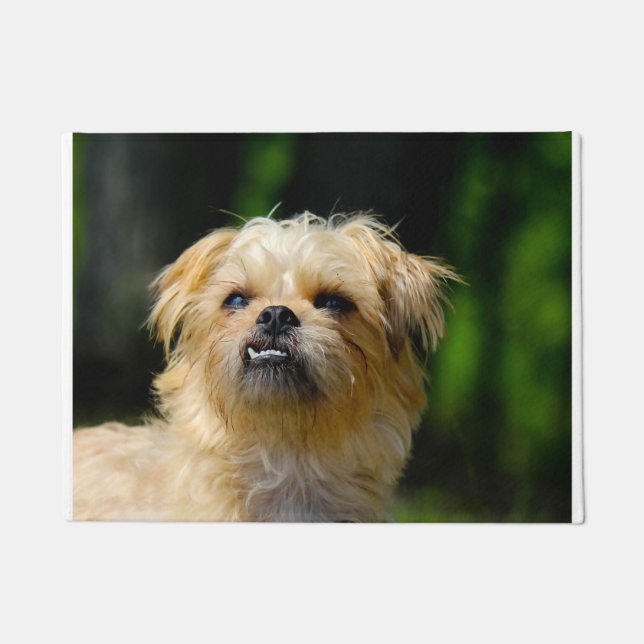 Paillasson Chien Griffon (Devant)