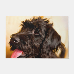Paillasson Chien Labradoodle.