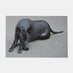 Paillasson Chien Thaï Ridgeback