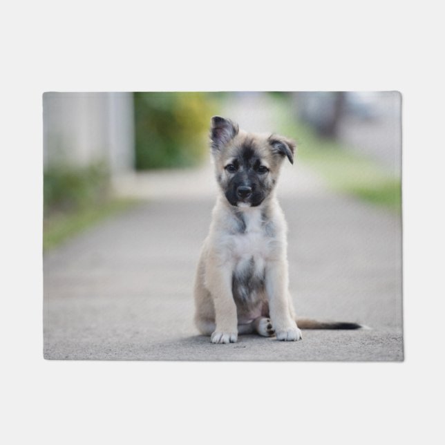 Paillasson Chiot allemand sur le sentier de randonnée (Devant)