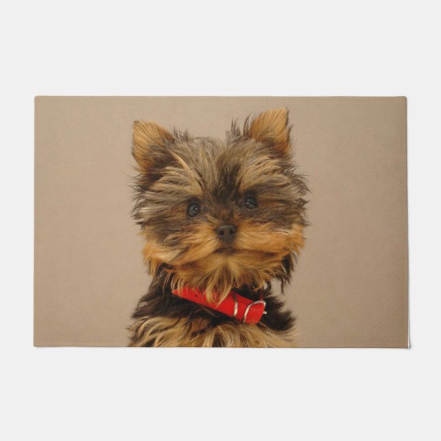 Paillasson Chiot de Yorkshire Terrier (Devant)