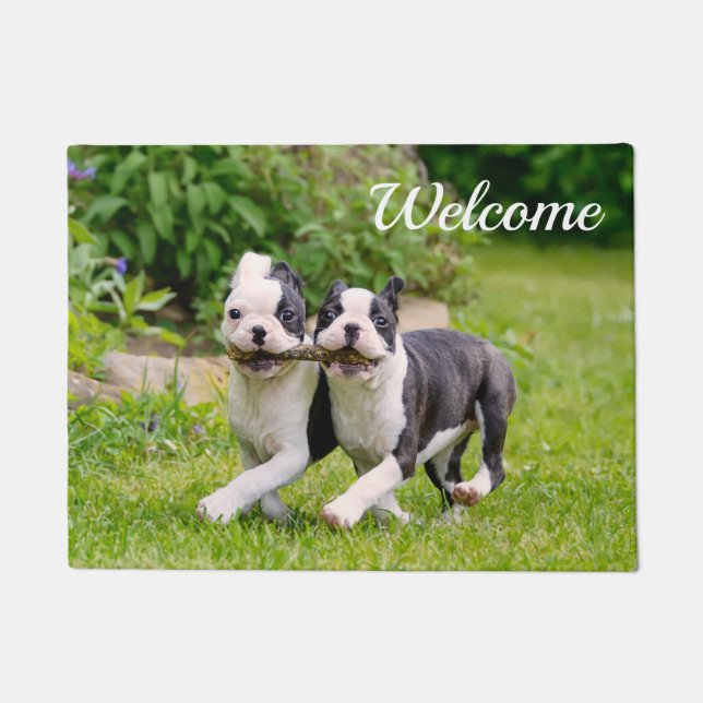 Paillasson Chiots de Boston Terrier joyeux et amusants jouant (Devant)