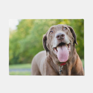 Paillasson Chocolat Labrador Chien