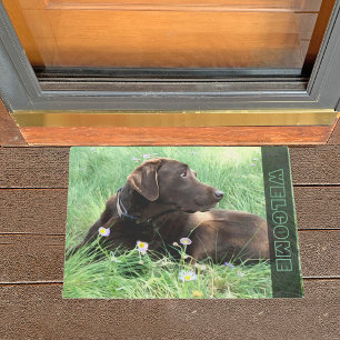 Paillasson Chocolat Labrador Retriever Dog In Grass Flowers