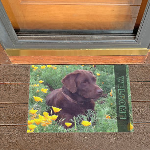 Paillasson Chocolat Labrador Retriever Dog in Orange Poppies