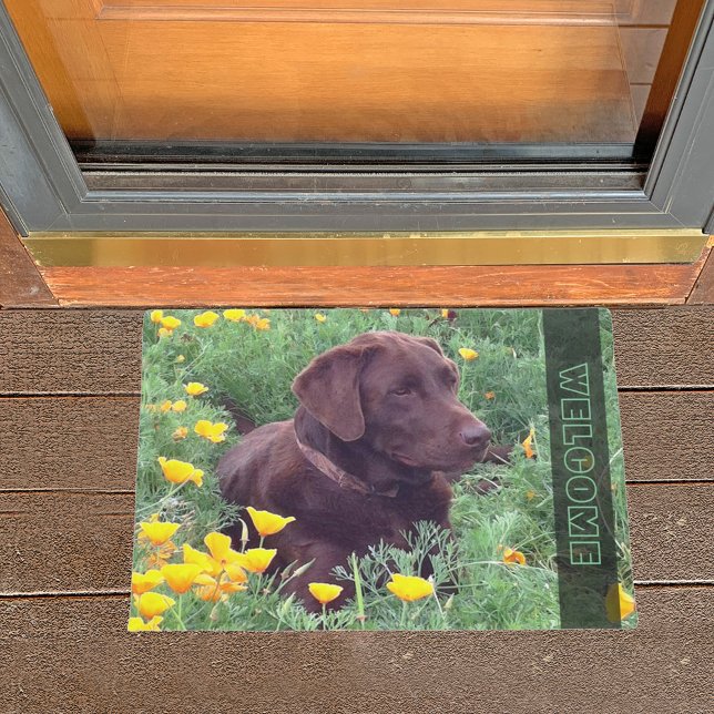 Paillasson Chocolat Labrador Retriever Dog in Orange Poppies (Créateur téléchargé)