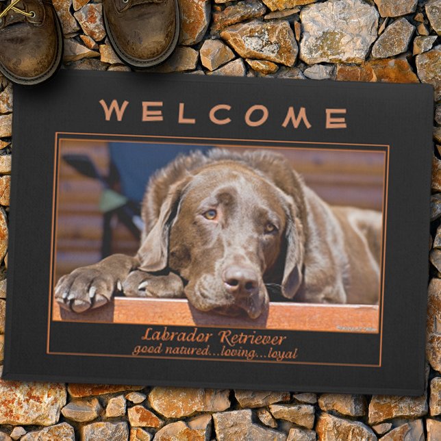Paillasson Chocolat sucré Labrador Retriever Modèle photo (Créateur téléchargé)
