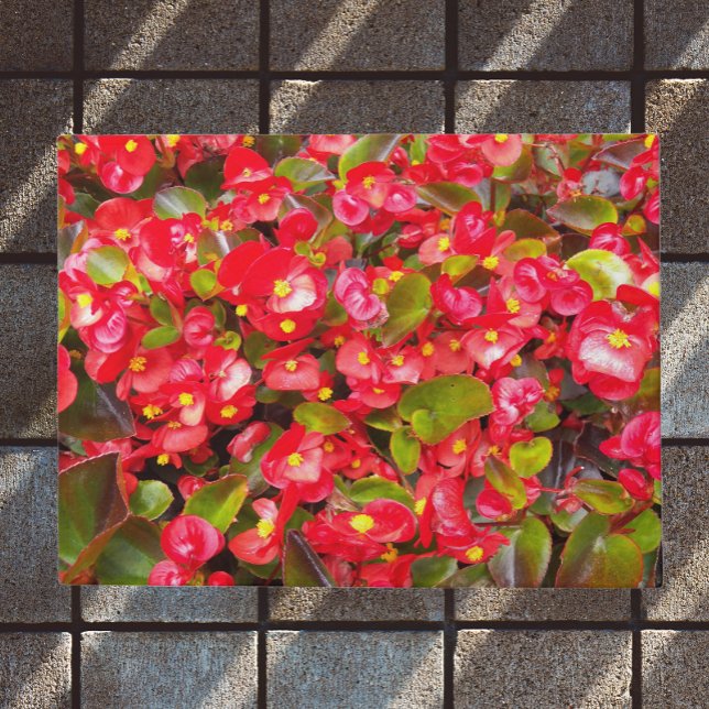 Paillasson Cire rouge Begonias Floral (In Situ)