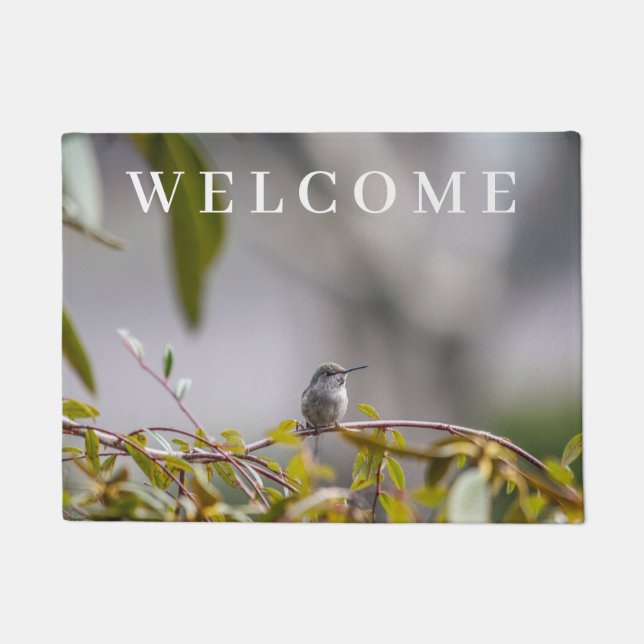 Paillasson Colibri 3346 (Devant)