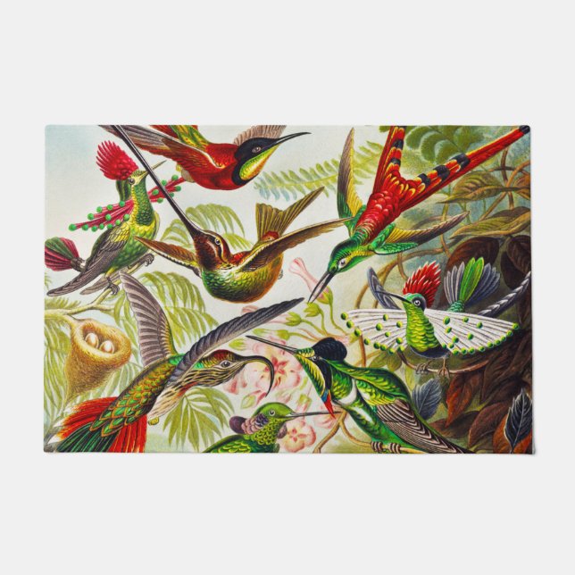 Paillasson Colibri Vintage par Ernst Haeckel (Devant)