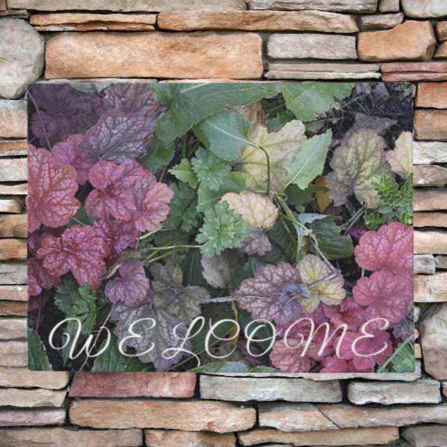 Paillasson Colorful Heuchera Plante Feuille Botanique (In Situ)