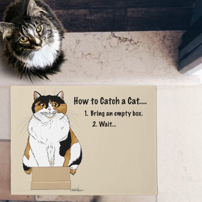 Paillasson Comment attraper un chat (Créateur téléchargé)