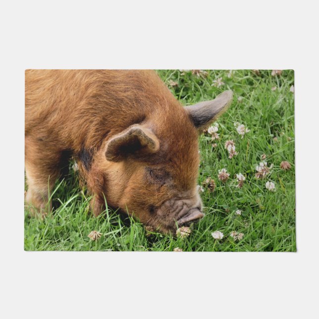 PAILLASSON COUPER (Devant)