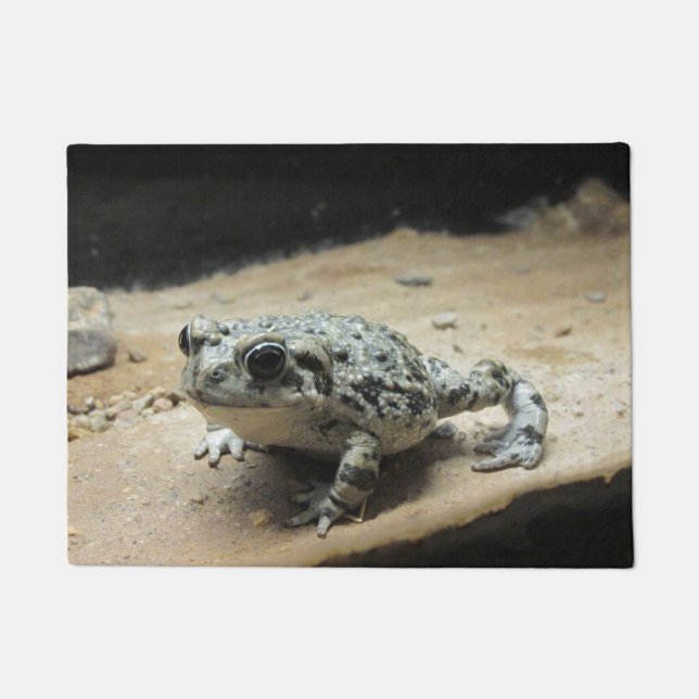Paillasson Crapaud (Devant)