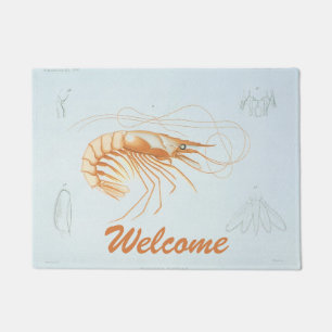 Paillasson Crevette, Vie marine vintage Animaux de l'océan