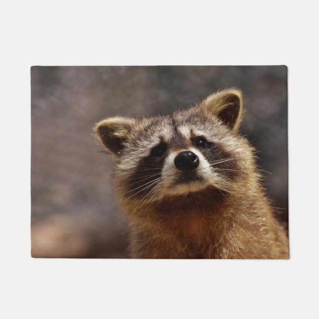 Paillasson Curious Raccoon (Devant)