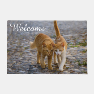 Paillasson Cute Chat Kittens Amis Chemin de pierre Photo Bien