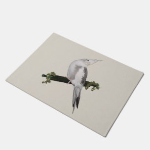 Paillasson Cute Lutino Cockatiel Bird Ivy Perch Animal