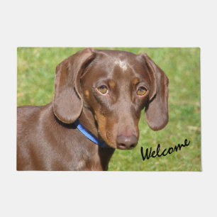 Paillasson Dachshund doormat