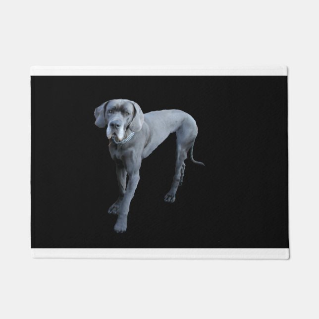 Paillasson Danois bleu (Devant)