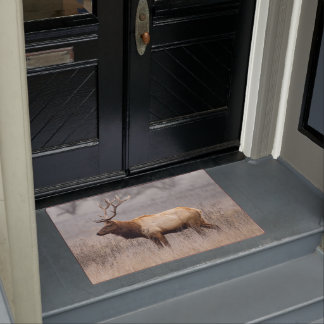 Paillasson Deer Stag Animaux Faune Nature Buck