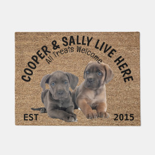 Paillasson Deux Cane Corso Amoureux des chiens personnalisé